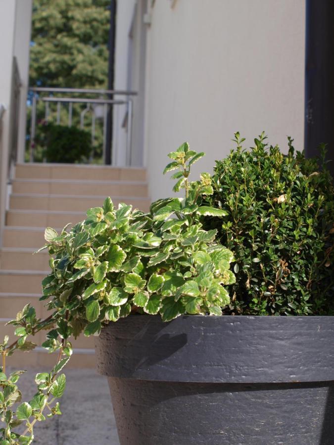 Apartments Mirasol Umag Exterior photo
